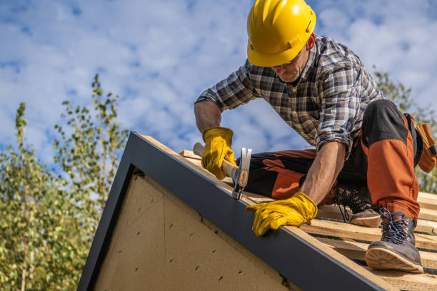 Best Roof Insulation Installation  in Broad Creek, NC